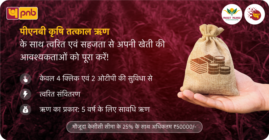 PNB Krishi Tatkal Loan